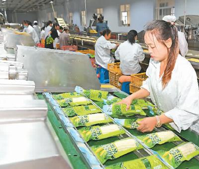 有限公司采取"公司 合作社 农户"的方式,在朝阳市胜利镇种植水果玉米