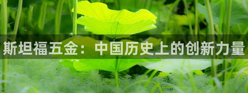 CQ9电子押注乘数