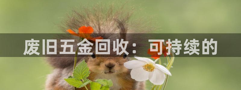 cq9电子洪福齐天