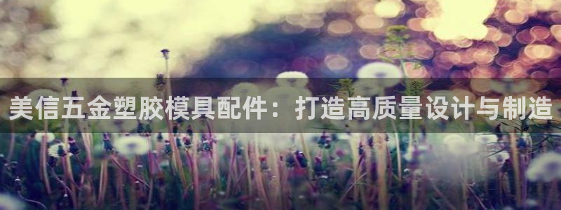 cq9电子忍者浣熊