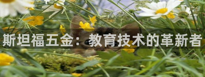 cq9传奇电子拳霸