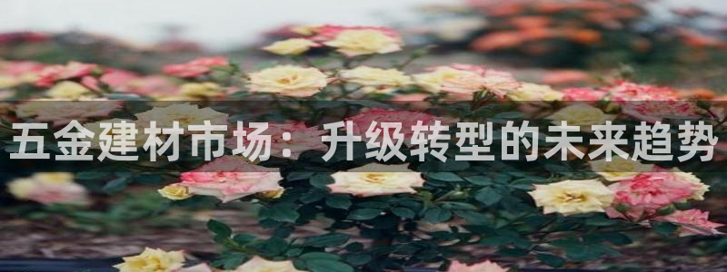 火凤凰cq9电子舞