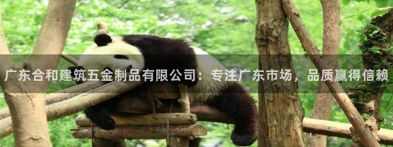 cq9电子大奖火凤凰