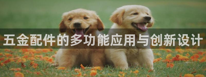 cq9电子游艺大奖视频