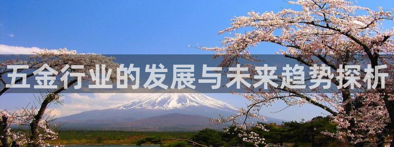 天博国际cq9电子