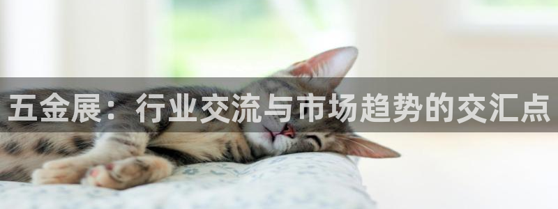 网赌cq9电子揭秘